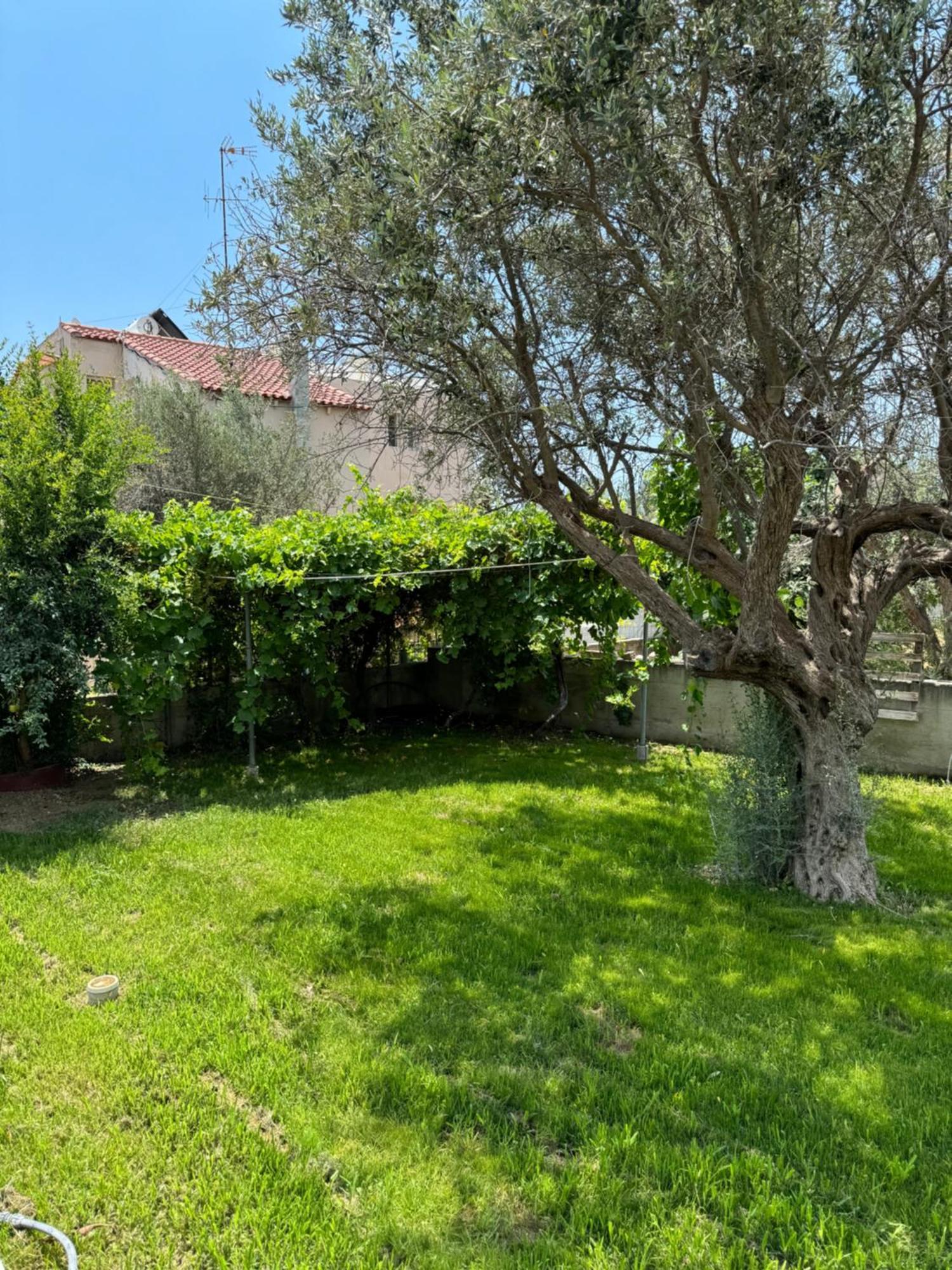 Fotis House 2 * Afantou
